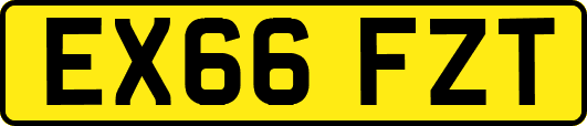 EX66FZT