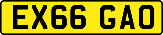 EX66GAO