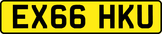 EX66HKU