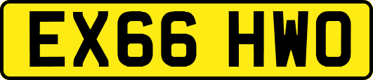 EX66HWO