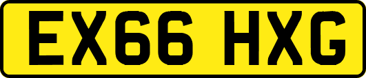 EX66HXG