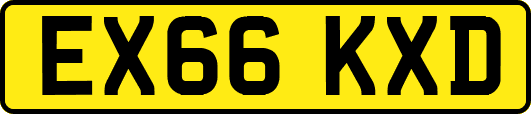 EX66KXD