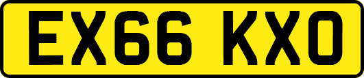 EX66KXO