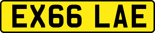 EX66LAE