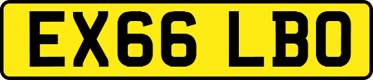 EX66LBO