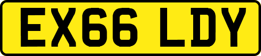 EX66LDY