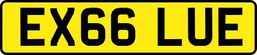 EX66LUE