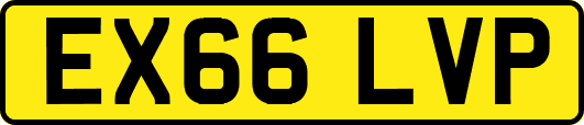 EX66LVP