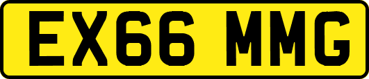 EX66MMG