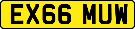 EX66MUW