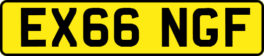 EX66NGF