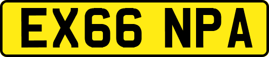 EX66NPA