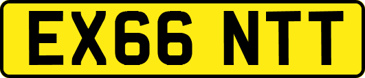 EX66NTT