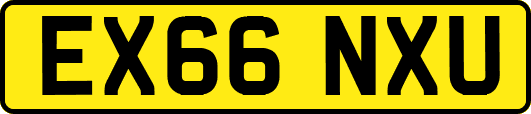 EX66NXU