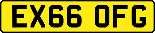 EX66OFG