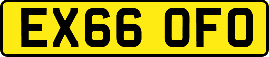 EX66OFO