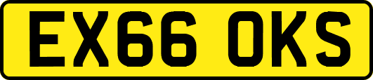 EX66OKS