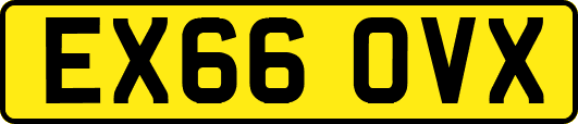 EX66OVX