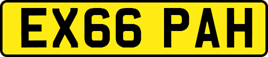 EX66PAH