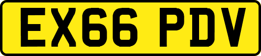 EX66PDV