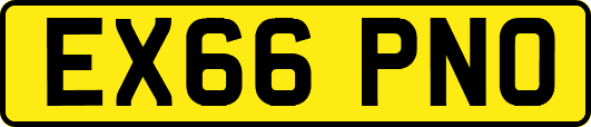 EX66PNO