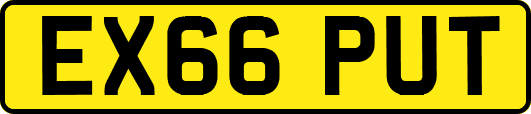 EX66PUT