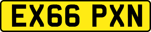 EX66PXN