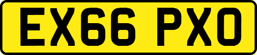 EX66PXO