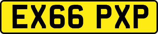 EX66PXP