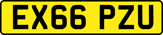 EX66PZU