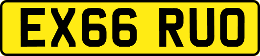 EX66RUO