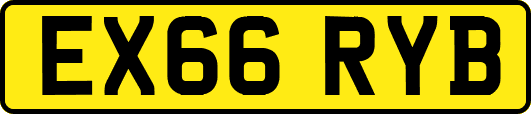 EX66RYB