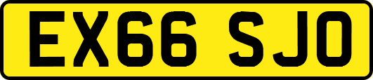 EX66SJO