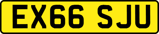 EX66SJU