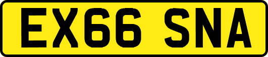 EX66SNA