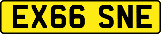 EX66SNE