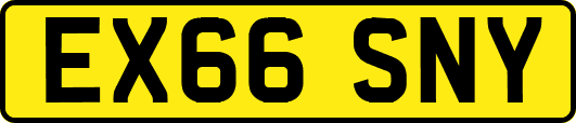 EX66SNY