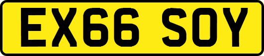 EX66SOY