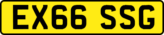 EX66SSG