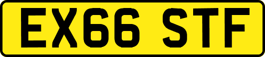 EX66STF