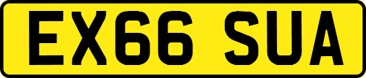 EX66SUA