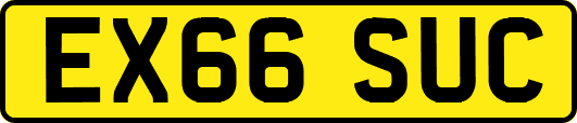 EX66SUC