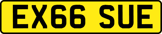 EX66SUE