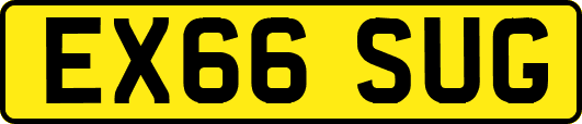 EX66SUG