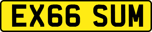 EX66SUM