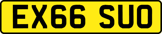 EX66SUO