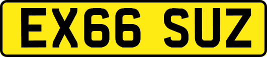 EX66SUZ