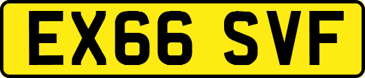 EX66SVF