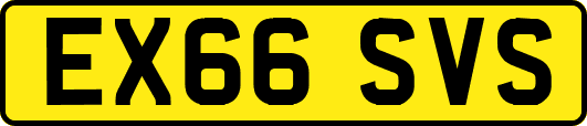 EX66SVS