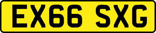 EX66SXG